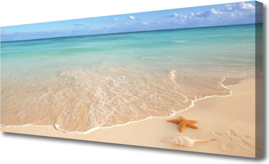 Obraz na płótnie Rozgwiazda na Piasku