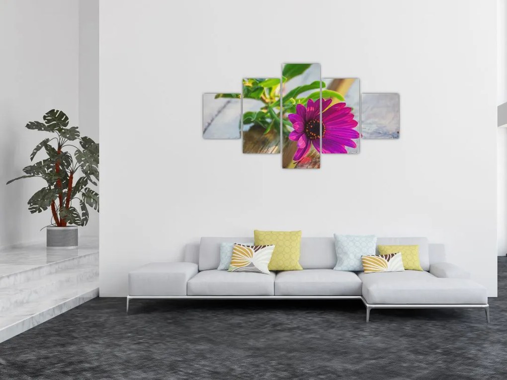 Obraz ciętego kwiatu (125x70 cm)