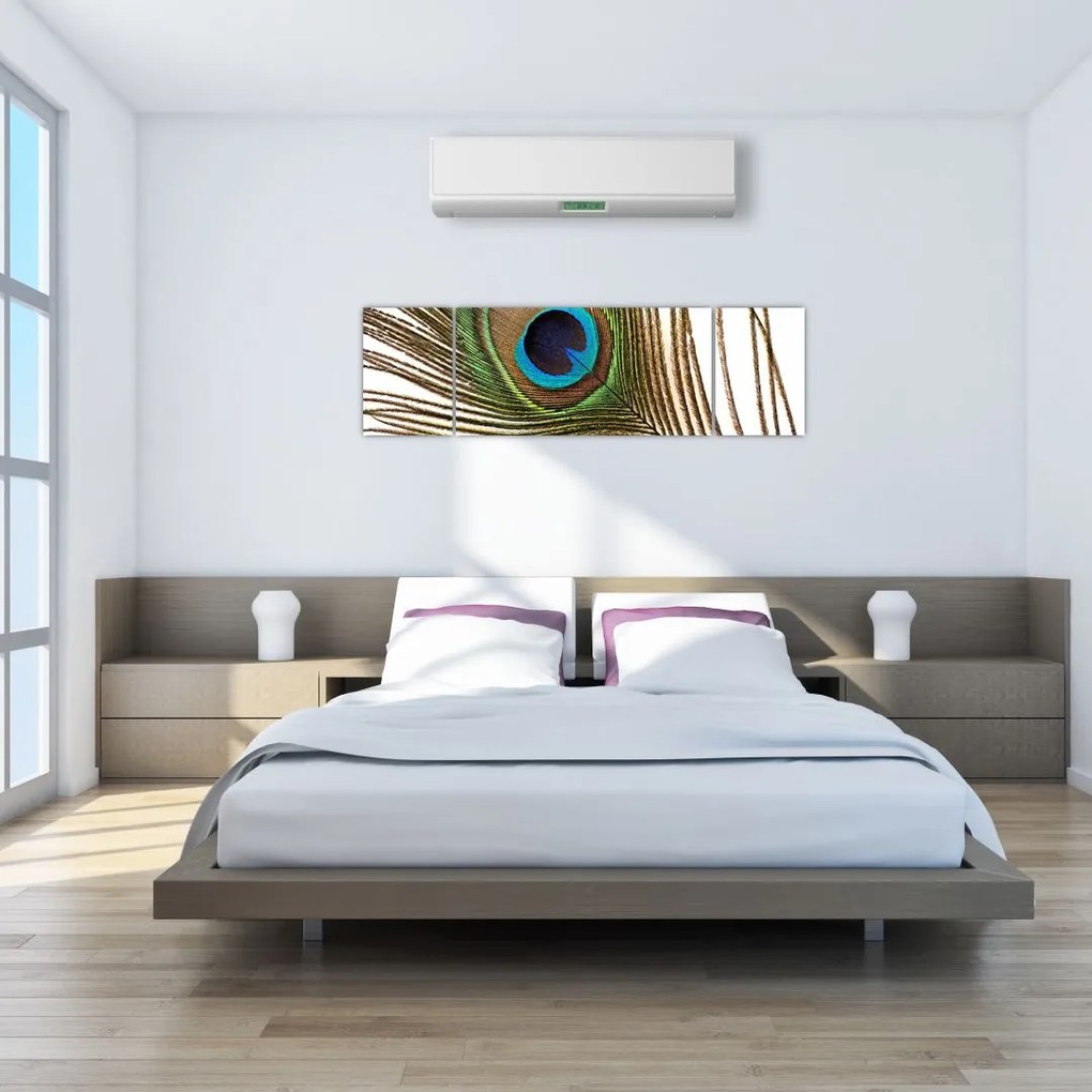 Obraz pawich piór (170x50 cm)
