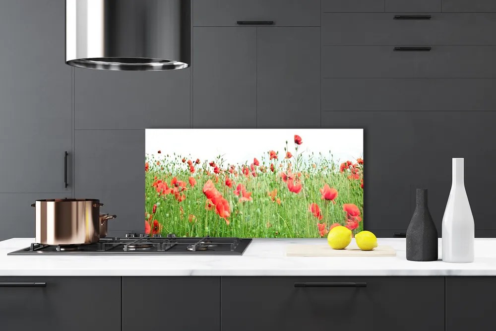 Panel nad blat kuchenny Krwistoczerwone Maki