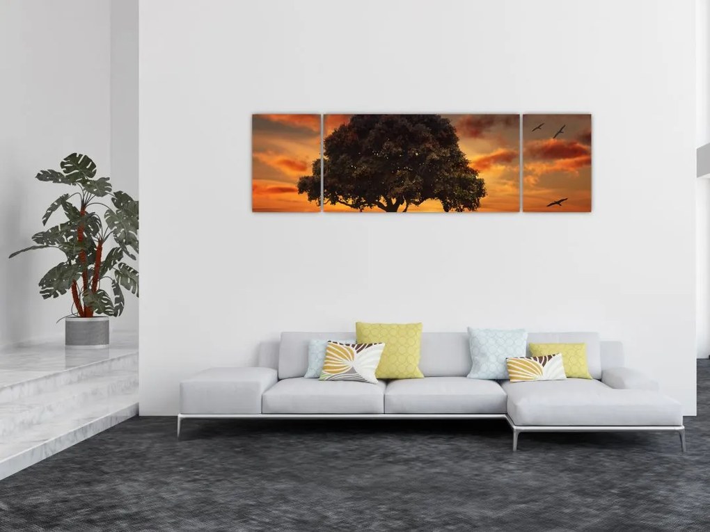Obraz drzewa o zachodzie słońca (170x50 cm)