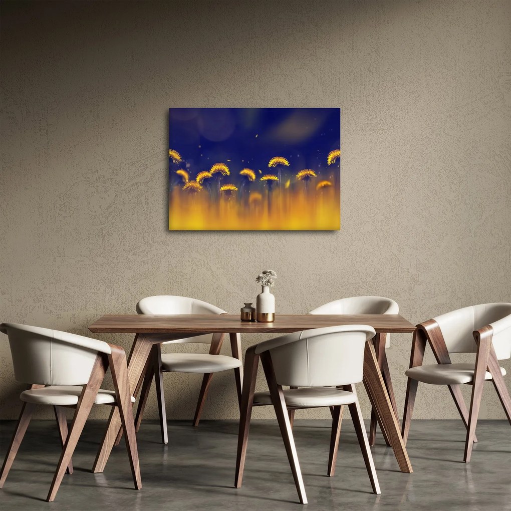 Obraz - Dmuchawce (70x50 cm)