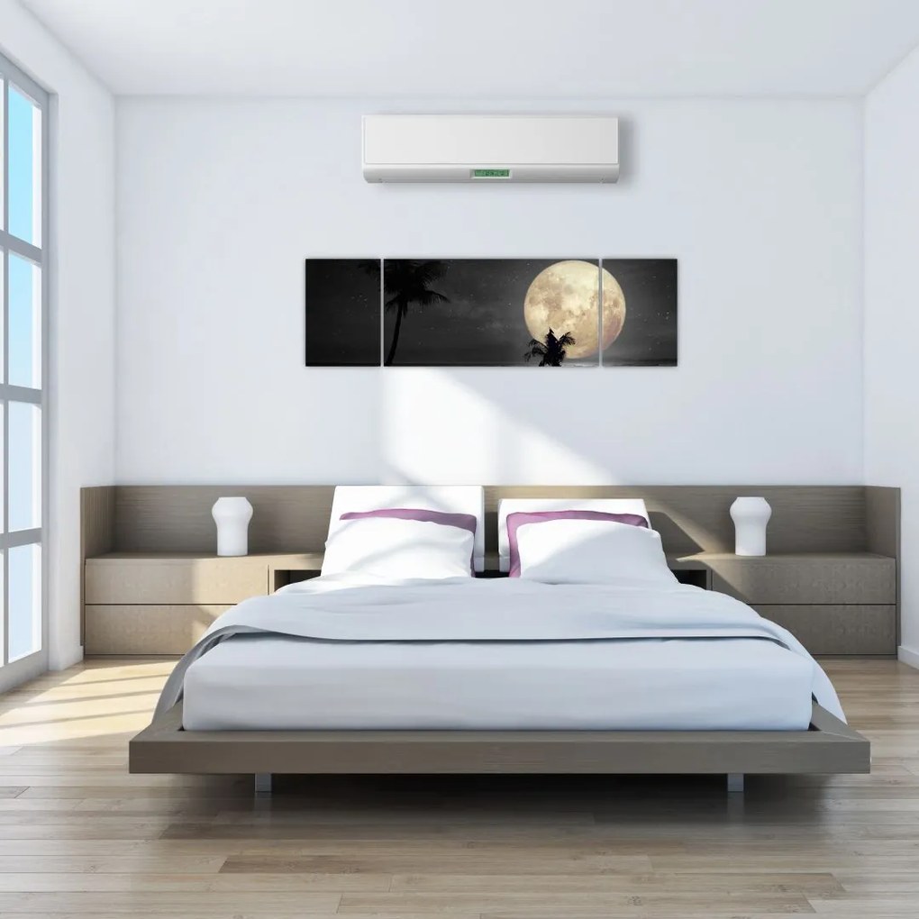 Obraz - Plaża pod pełnią księżyca w odcieniach szarości (170x50 cm)