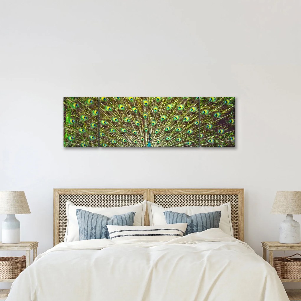 Obraz - Paw (170x50 cm)