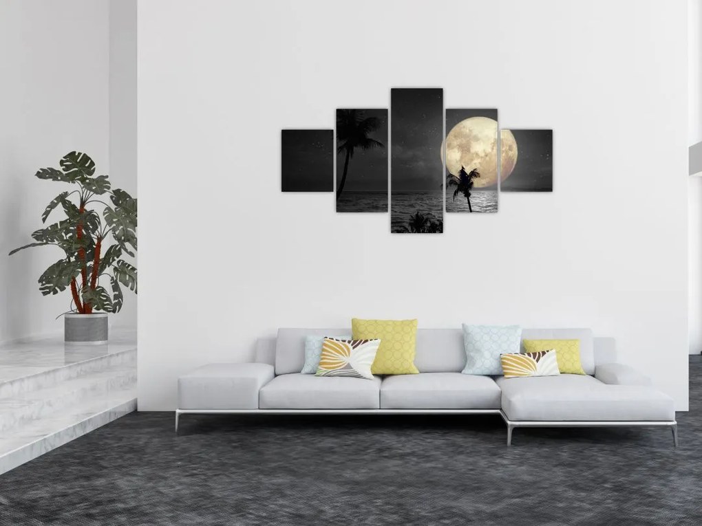 Obraz - Plaża pod pełnią księżyca w odcieniach szarości (125x70 cm)