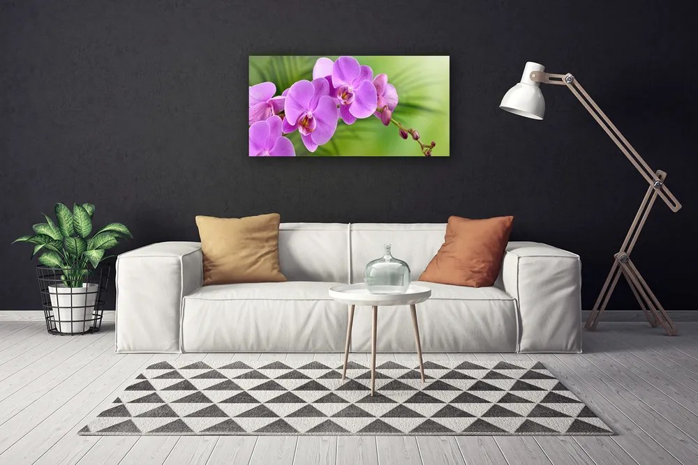 Obraz Canvas Storczyk Orchidea Kwiaty