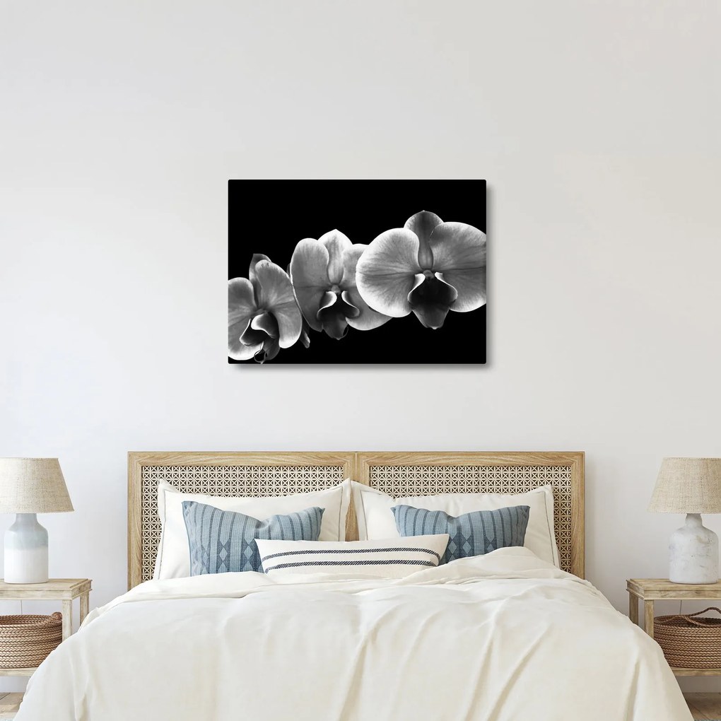 Obraz kwiatu orchidei (70x50 cm)