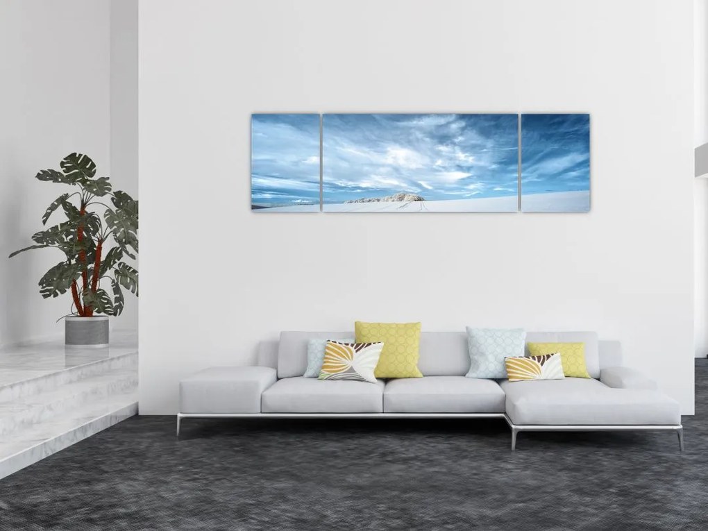 Obraz pola (170x50 cm)