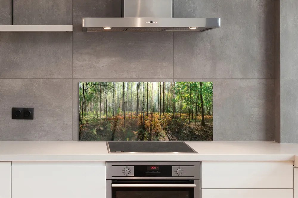 Panel szklany do Kuchni Klasyczny Las Brzozowy