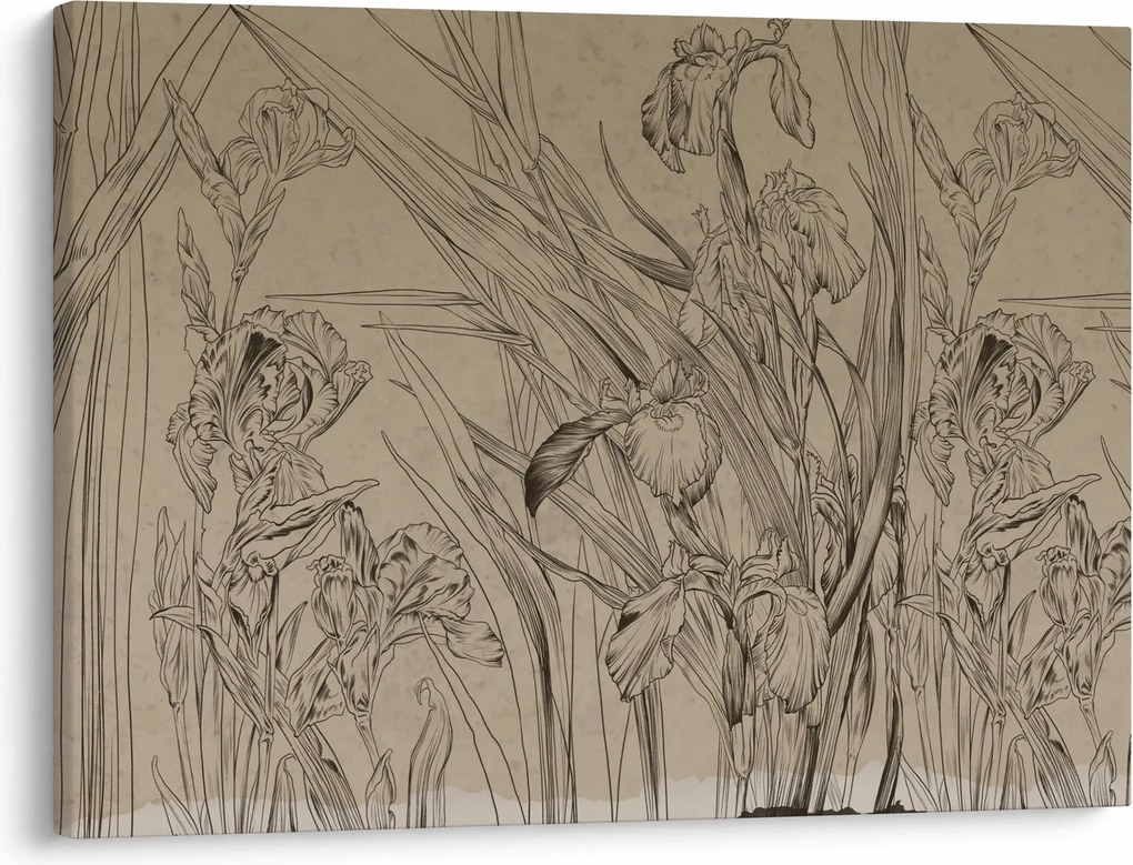 Obraz - Kontury roślin (70x50 cm)