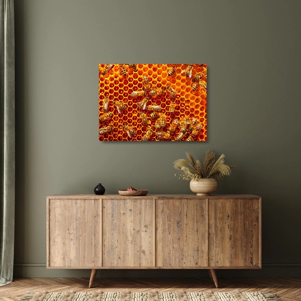 Obraz na szkle - Plaster miodu (70x50 cm)