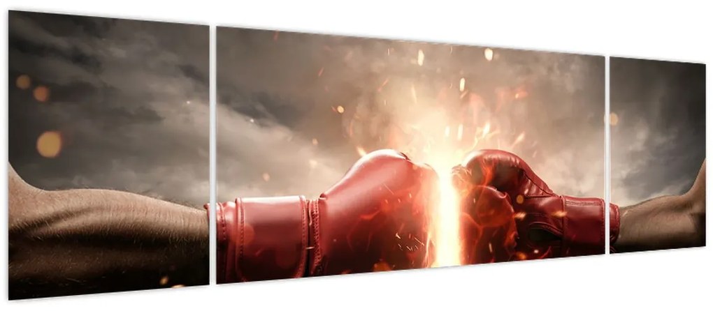 Obraz - Boks (170x50 cm)