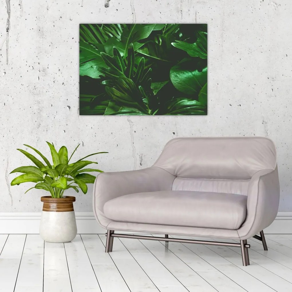 Obraz na szkle - Liście palmowe (70x50 cm)