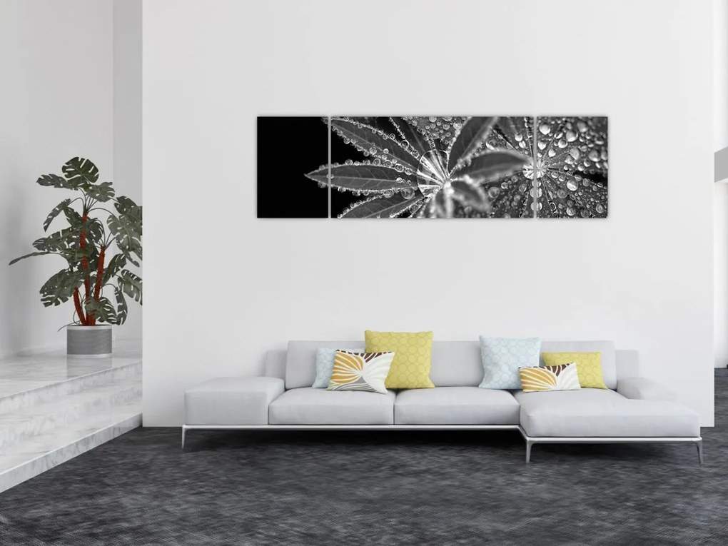 Obraz - Krople (170x50 cm)