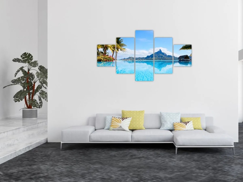 Obraz - Palmy i plaże (125x70 cm)