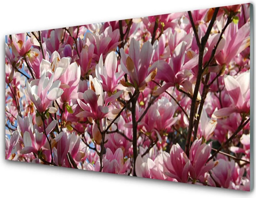 Panel Szklany Kwitnące Gałązki Drzewa