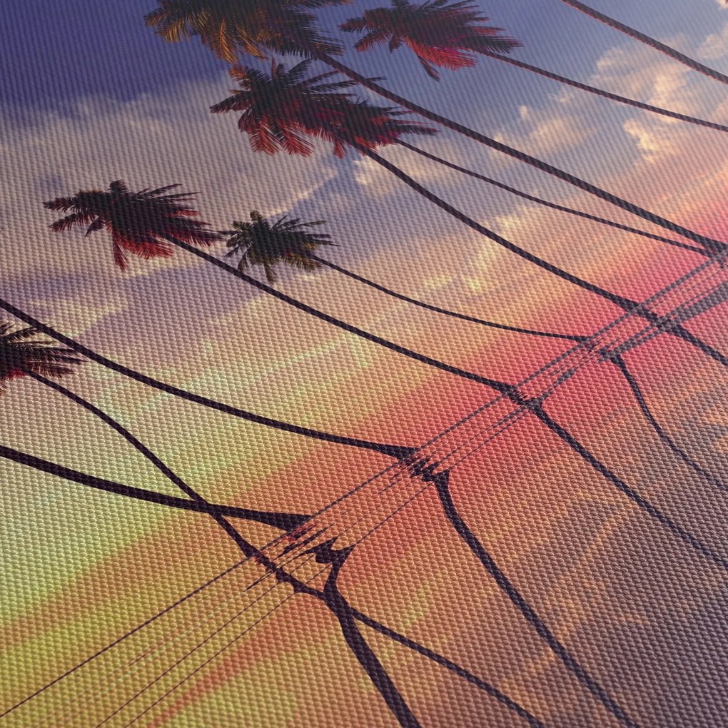 Obraz palm wznoszących się nad powierzchnią (125x70 cm)