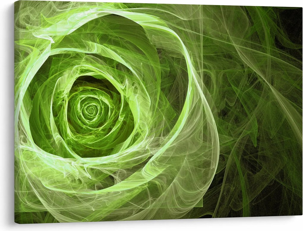 Obraz - Abstrakcyjny zielony róż (70x50 cm)