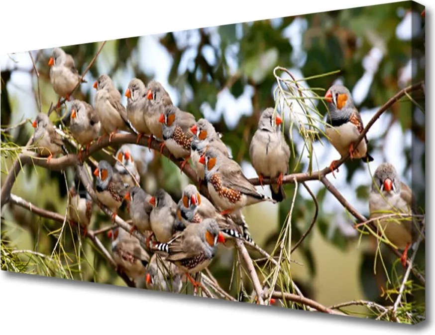 Obraz na płótnie Ptaki w Locie nad Lasem