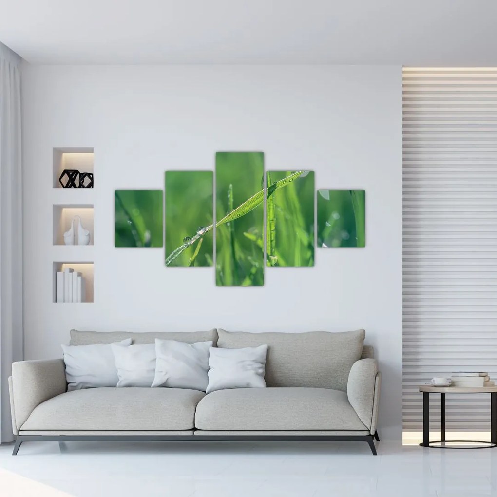 Obraz kropli rosy (125x70 cm)