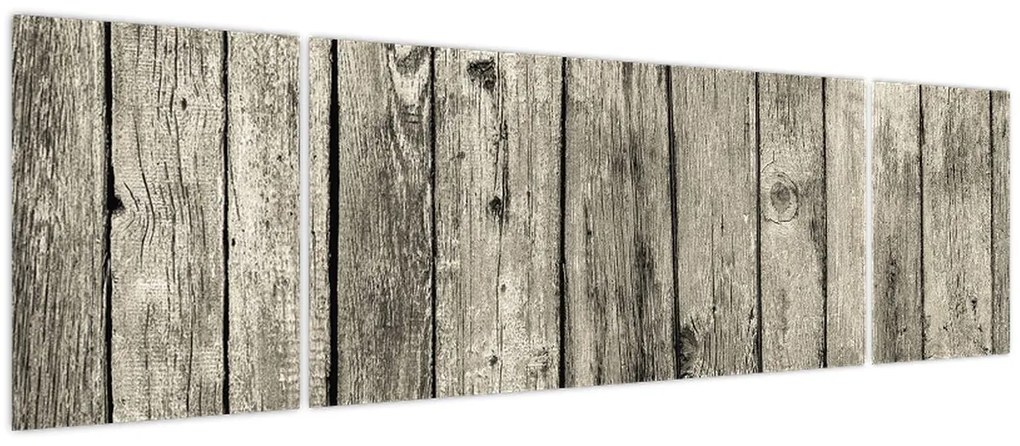 Obraz - Drzewo (170x50 cm)