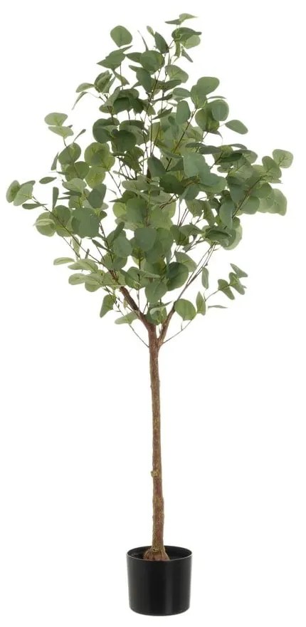 Sztuczny kwiat Eucalyptus – Casa Selección