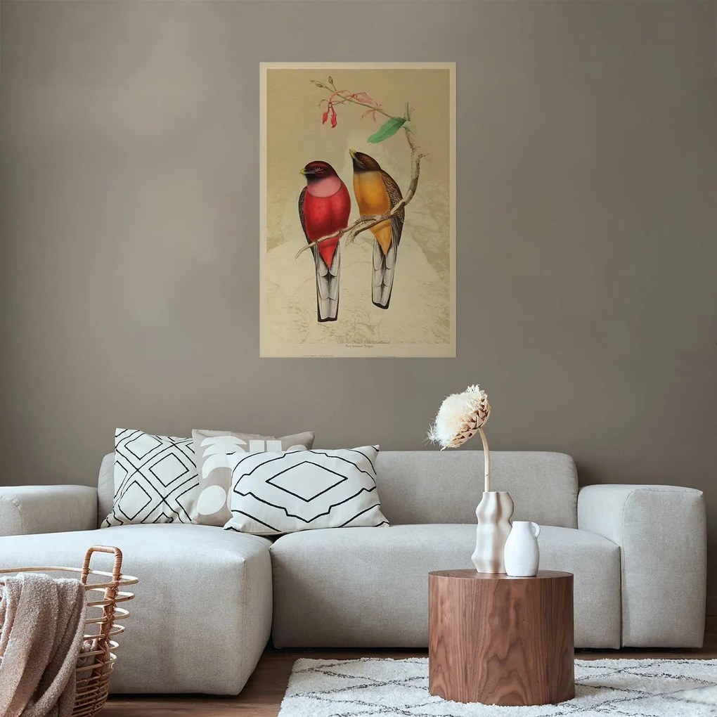 Plakat Ptaki na gałązce 60x90 cm bez ramy bez marginesu ARTGEIST B