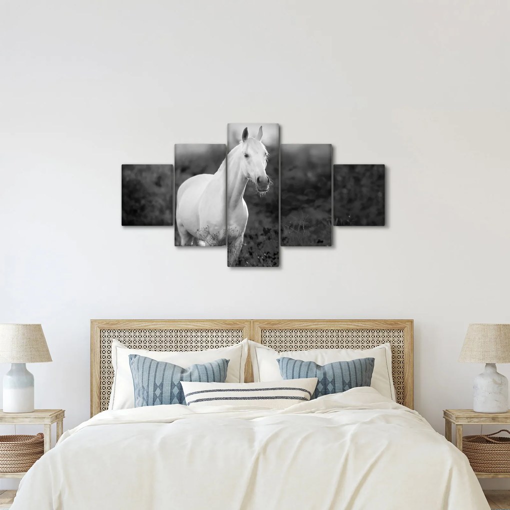 Obraz białego konia na łące, czarno - biały (125x70 cm)