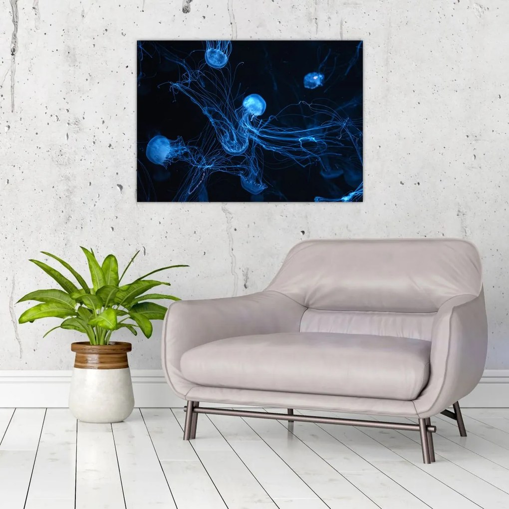 Obraz na szkle - Meduza (70x50 cm)