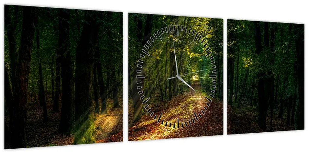 Obraz leśnej ścieżki (z zegarem) (90x30 cm)