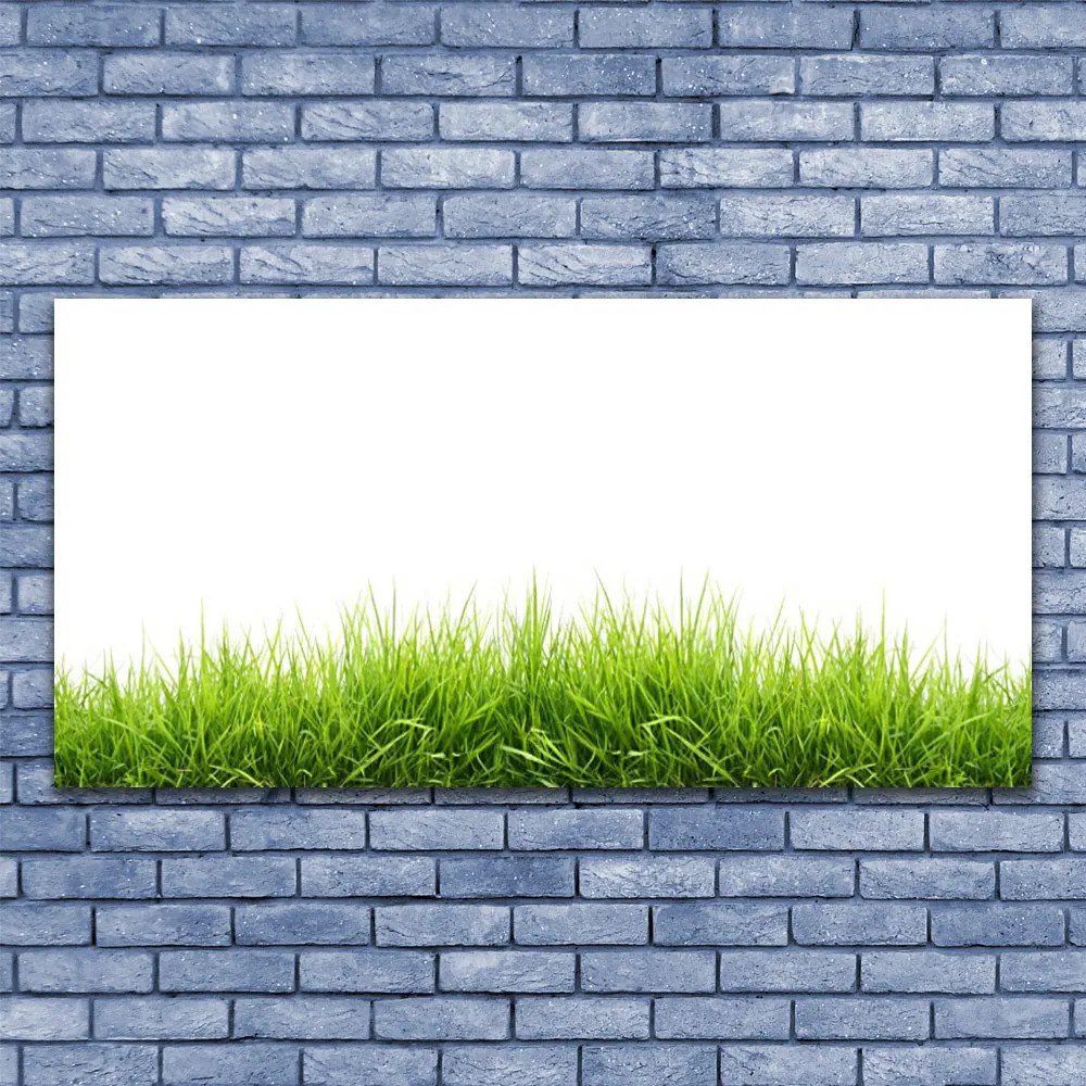 Zdjęcie na płótnie Naturalny Dywan Trawy