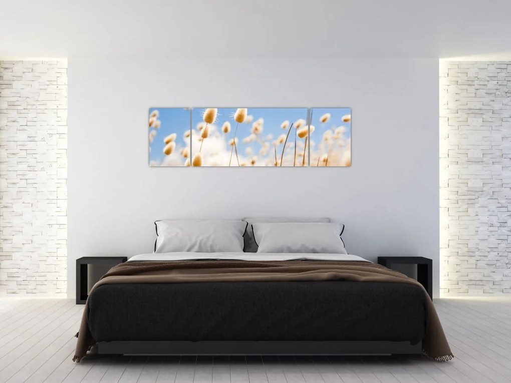 Obraz - Złote pole (170x50 cm)