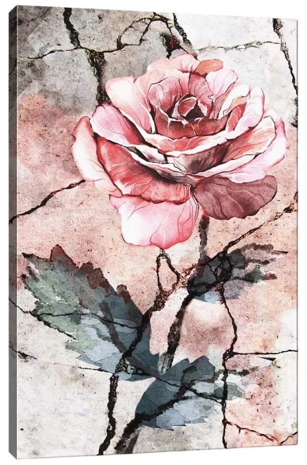 Obraz na płótnie Tablo Center Rose, 40x60 cm