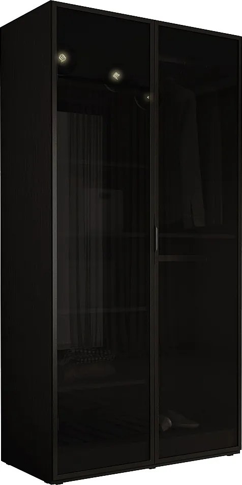 Szafka: grafitowa czerń / szkło antysłoneczne, 100 x 200 x 51 cm