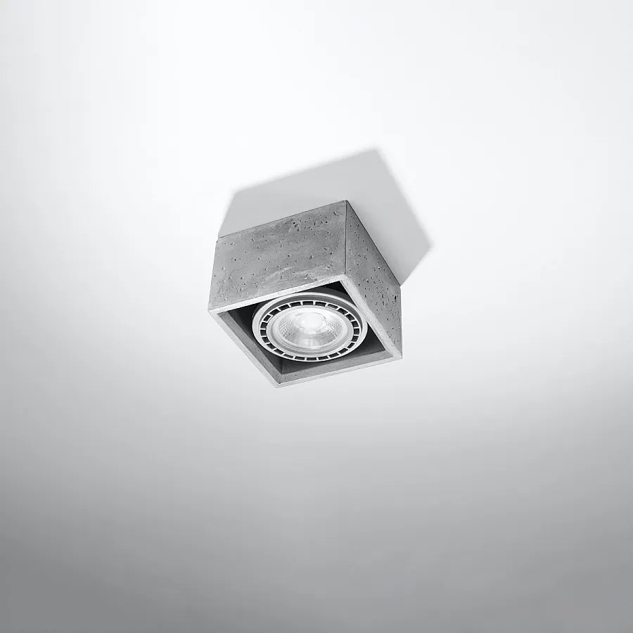 Plafony industrialny Zentra, beton - 1 źródło światła 4000K - L.14 x H.9 cm - szary