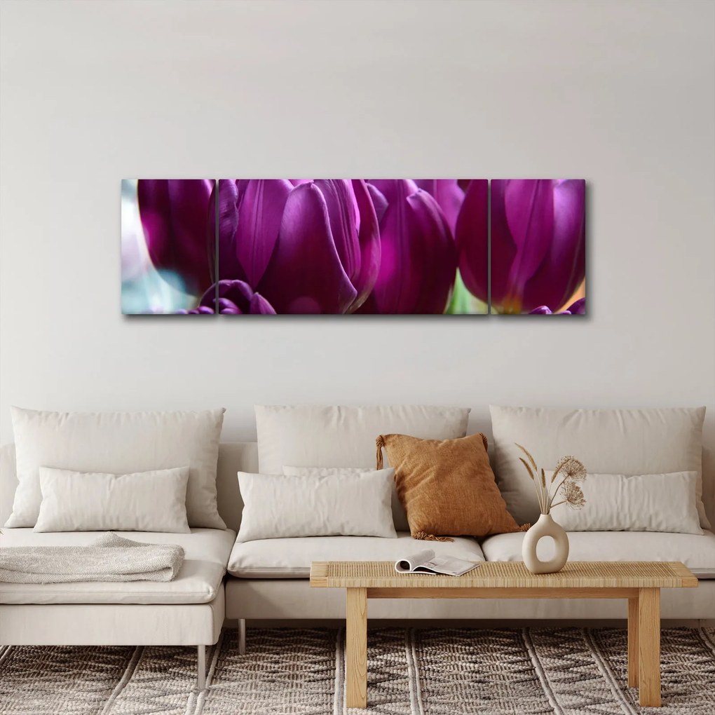 Obraz tulipanów (170x50 cm)