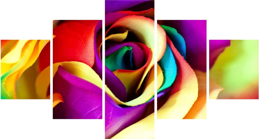 Obraz - Kolorowa róża (125x70 cm)