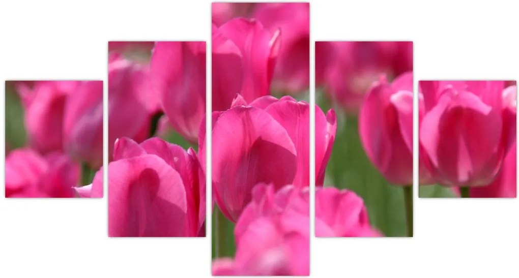 Obraz - Różowe tulipany (125x70 cm)