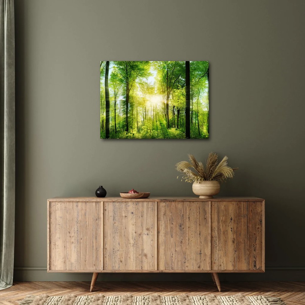 Obraz - Świt w lesie (70x50 cm)