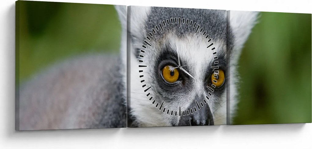 Obraz lemura (z zegarem) (90x30 cm)