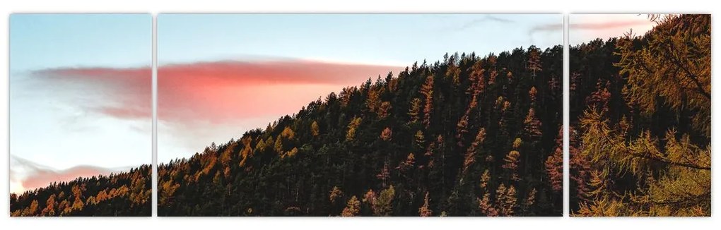 Obraz rudzików nad wzgórzem (170x50 cm)