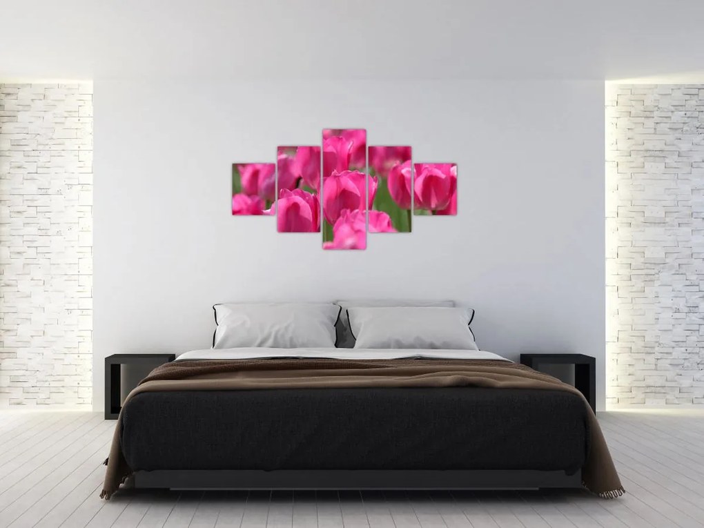 Obraz - Różowe tulipany (125x70 cm)