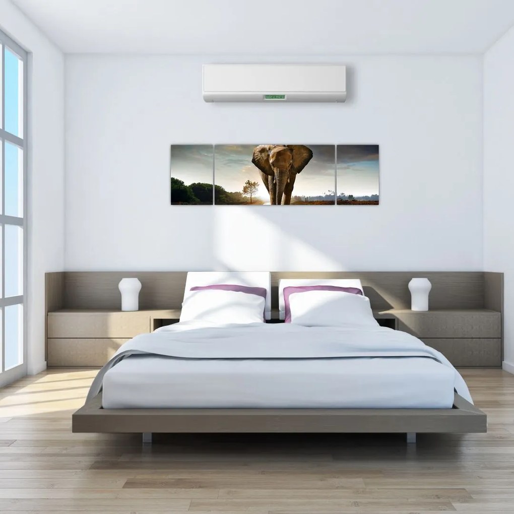 Obraz słonia (170x50 cm)