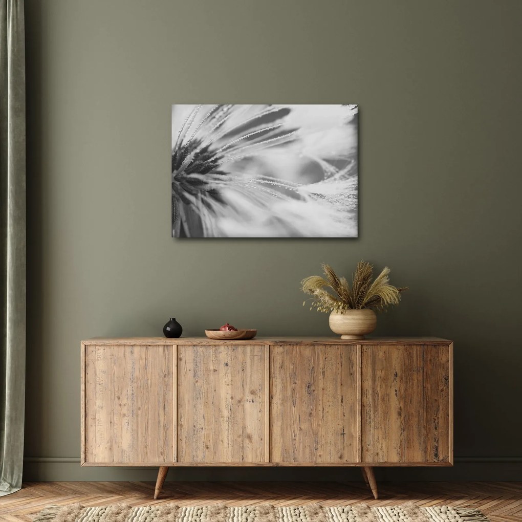 Obraz - Mlecz (70x50 cm)