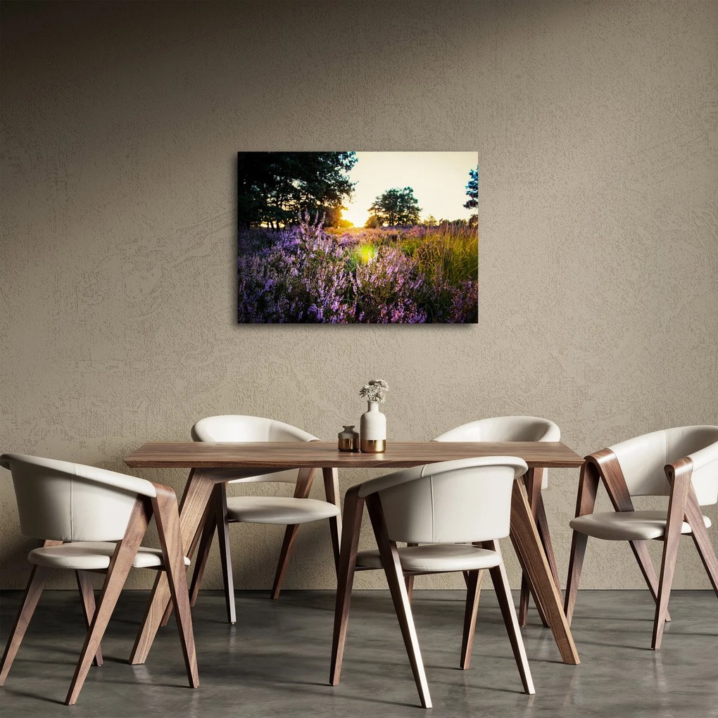 Obraz pola lawendy (70x50 cm)