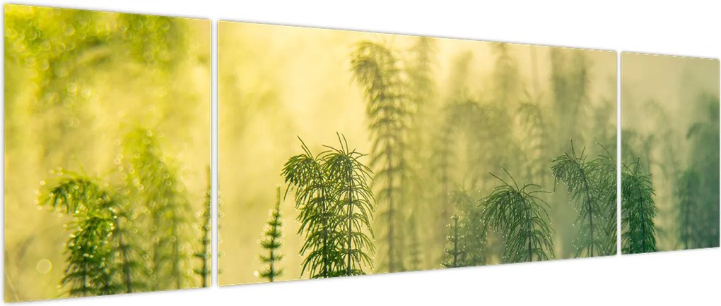 Obraz - Szczegół wiosennej mglistej przyrody (170x50 cm)