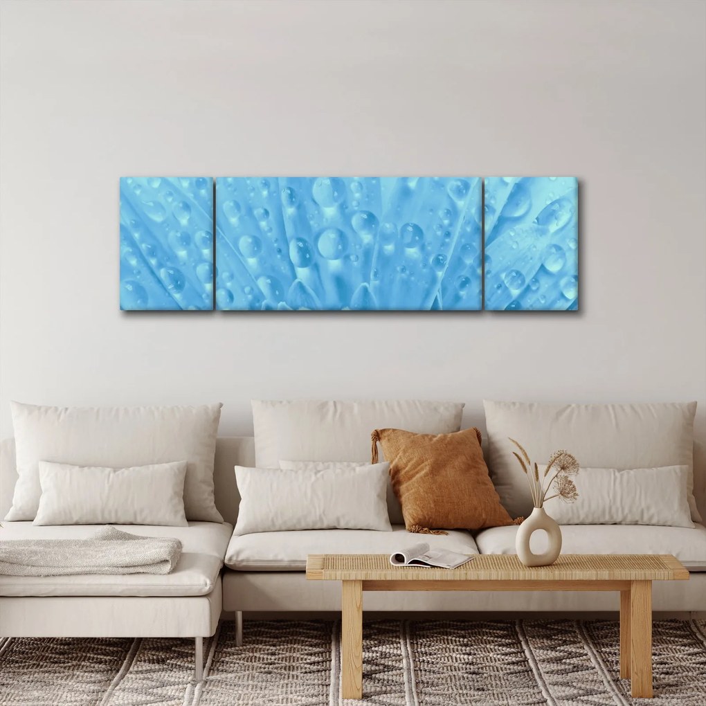 Obraz - Ujęcie makro kwiatu (170x50 cm)