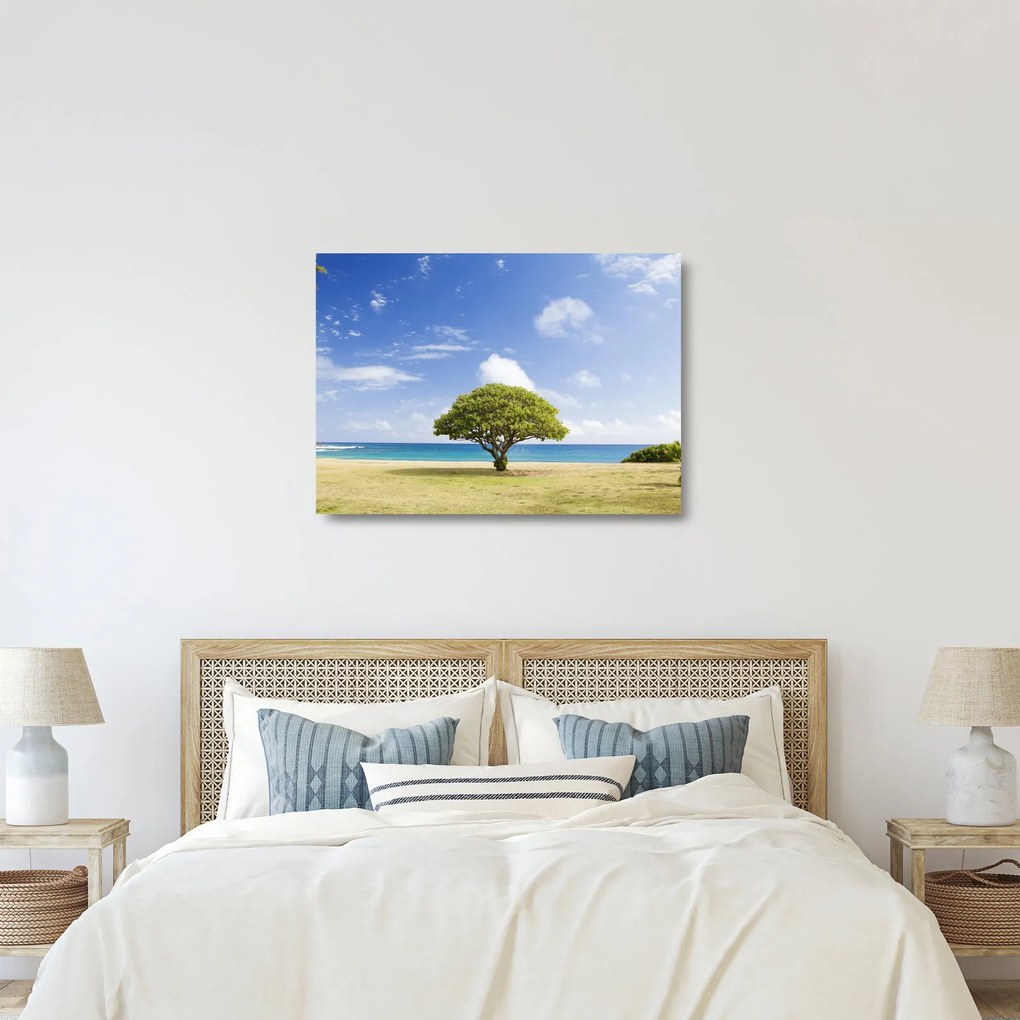 Obraz na szkle - plaża z drzewem (70x50 cm)