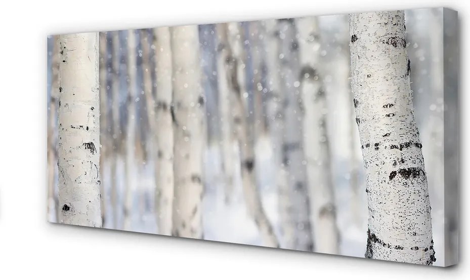 Obraz na płótnie Drzewa Zimą w Śniegu