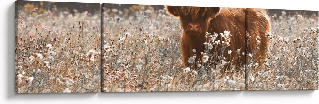Obraz - Szkocka krowa w kwiatach (170x50 cm)